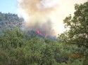 Oak Fire