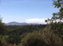 Smoke From Oak Fire