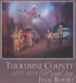 2013-14 Tuolumne County's Civil Grand Jury Final Report