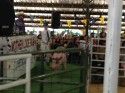 Mother Lode Fair Live Auction Photo taken by: Tracey Petersen
