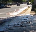 Waterline Break In Tuolumne