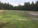 Twain Harte Lake drained