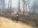 Bridge Fire near Mariposa