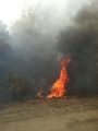 Bridge Fire near Mariposa