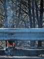 Jackson Fire