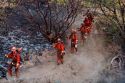 Jackson Fire