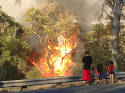 Covey Circle Fire