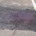 Stewart Street Sink Hole