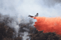 Jackson Fire east of the Jacksonville Bridge