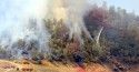 Jackson Fire