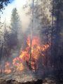 King Fire