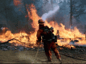 King Fire