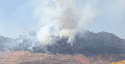 Jacksonville Road Fire