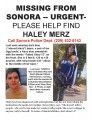 Haley Merz poster
