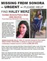 Haley Merz Flyer Update