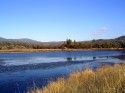 Phoenix Lake