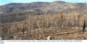 Rim Fire Burn Area
