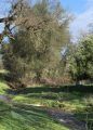 Weekend Storms Get Local Creeks Flowing
