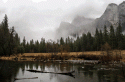 Yosemite National Park