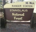Mi-Wok Stanislaus National Forest