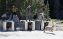 Yosemite National Park Sierra Nevada Bighorn Sheep Release