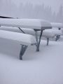 Snow at Dodge Ridge