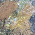 Water Leak Near Cassina