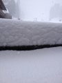 Snow Falling Tuesday at Dodge Ridge