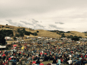Calaveras-Fair-2015-Demolition-Derby-kick-off