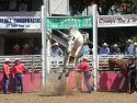 2015 Mother Lode Round-up Rodeo