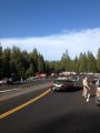 Highway 108 Near Twain Harte Crash
