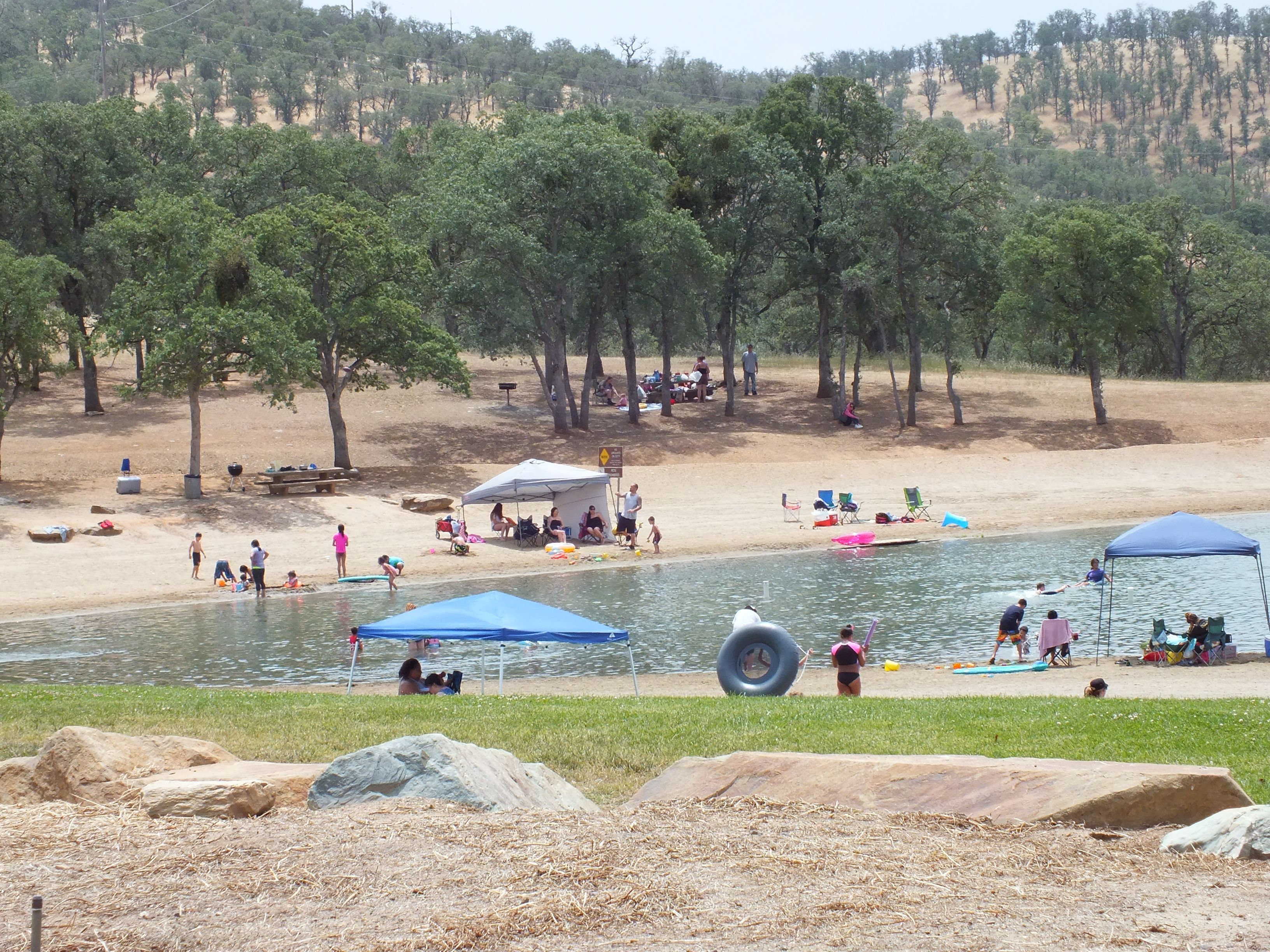 Are Dogs Allowed At Don Pedro Lake