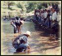 Gold Prospecting