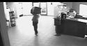 Surveillance video of thief carrying safe out of Humane Society of Tuolumne County
