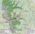 Yosemite fires