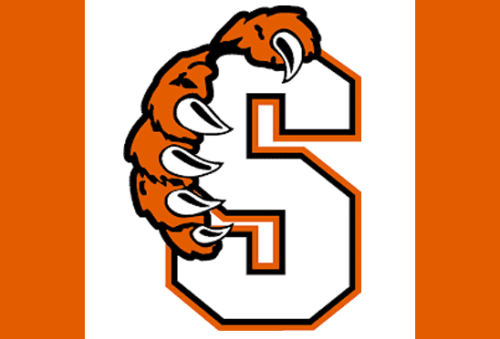 Summervillle Wins First Playoff Game - Vimarsana News
