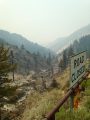 Washington Fire