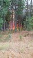 Big Creek Fire