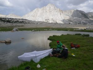 UC Researcher Roland Knapp and US Geologic Survey Researcher Steven Lee Place Frogs In Holding Pen Prior To Release