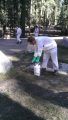 Crane Flat Flea Treatment
