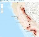 California Rodent Plague Survaillence Map