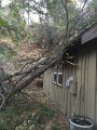 Damage at Hill Street Home from Tree
