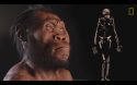 Homo Naledi