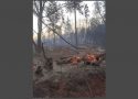 Damage to Regina Alderman's property from the Oak Fire