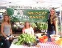 Sonora High School Wildcat Ranch Farmers Market Booth, Aug. 2015