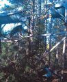 TUD Flume damage due to fallen trees
