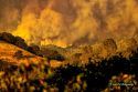 Butte Fire