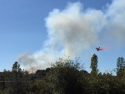Longeway Vegitation Fire