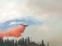 Rough Fire