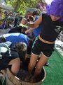 Calaveras Grape Stomp